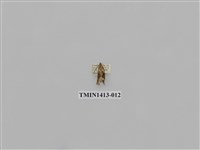 藏品(夜蛾科)的圖片